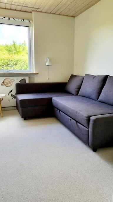 Villa Thuya Rica House Billund