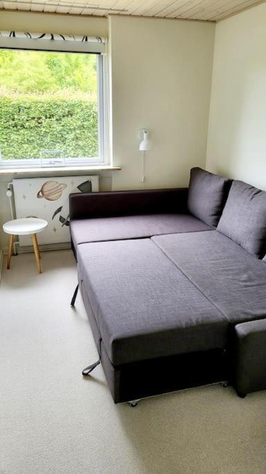 Thuya Rica House Villa Billund